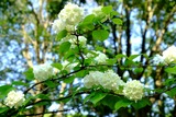 DSCF0888