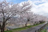 DSCF0007