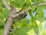 DSCF0797