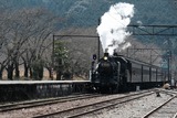 DSCF0765