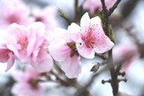 DSCF0070