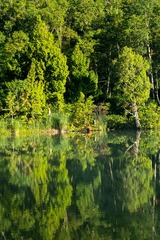 DSCF1296