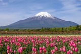 DSCF0337