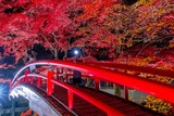 DSCF2531-2