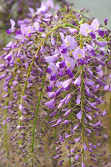 DSCF2548