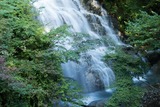 DSCF1311