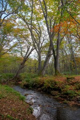 DSCF1077