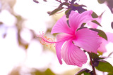 DSCF1609