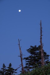 DSCF1177