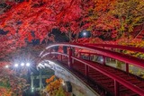DSCF2522-2