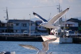 DSCF0611