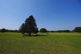 DSCF0786-1