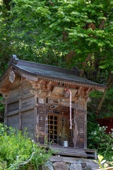 DSCF0389