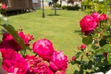 DSCF0340-2