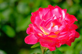 DSCF1689