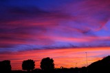DSCF1617