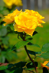 DSCF1657