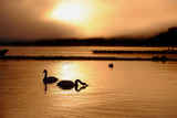 DSCF0939