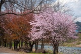 DSCF0148