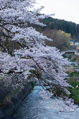 DSCF2893