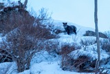 DSCF0136