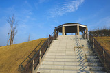 DSCF0031