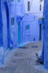 DSCF0529