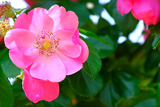 DSCF1678