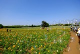 DSCF0804