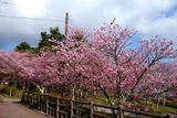 DSC08922