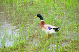 DSCF2589