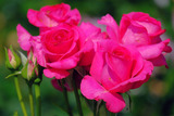 DSCF1697
