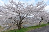 DSCF0015