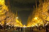 DSCF0031