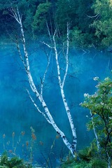 DSCF1291
