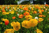 DSCF0813