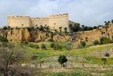 DSCF0446