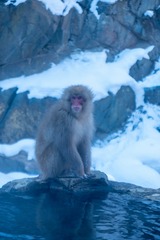 DSCF0184