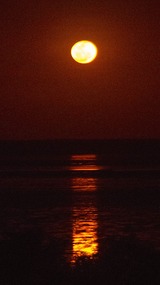 DSCF0899