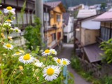 青木さん