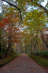 DSCF1062