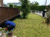 20170626_114629