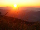 堀内写真