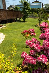 DSCF0348-2