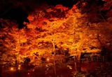 DSCF0842
