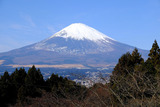 DSCF0566