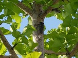 DSCF0793