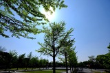 DSCF0714