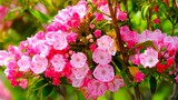 DSCF1719