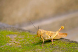 DSCF1607